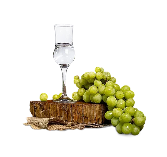 Pisco - copa - inglés